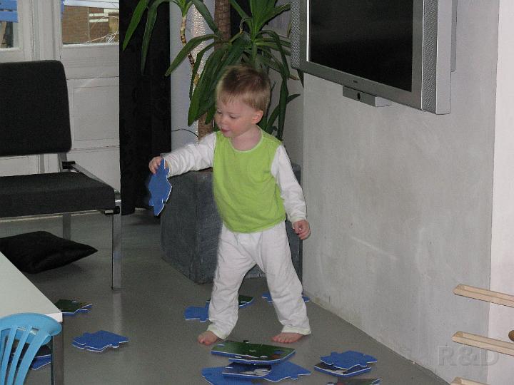 Imme 24 mei 2008 (1).JPG